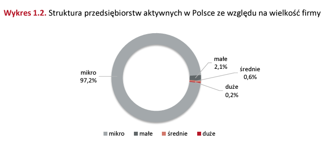 struktura przedsiebiorstw aktywnych w PL ze wzgledu na wielkosc firmy