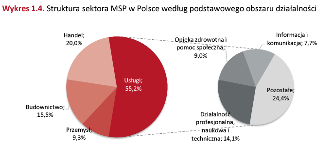 struktura sektora msp w PL wedlug podstawowego obszaru dzialalnosci