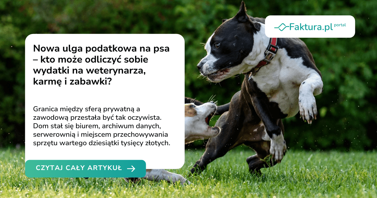 Nowa ulga podatkowa na psa – kto może odliczyć sobie wydatki na weterynarza, karmę i zabawki?